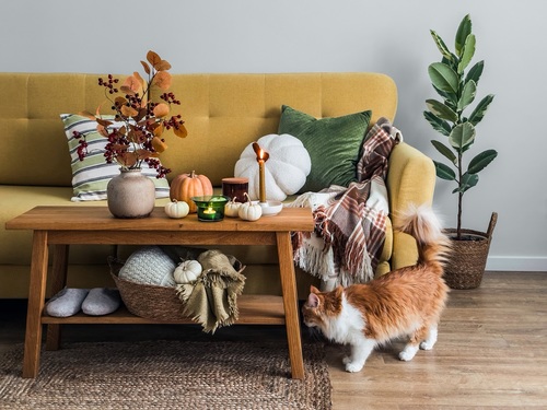 Dynie i kolory zbiorów – jak zatrzymać jesień w aranżacji wnętrz